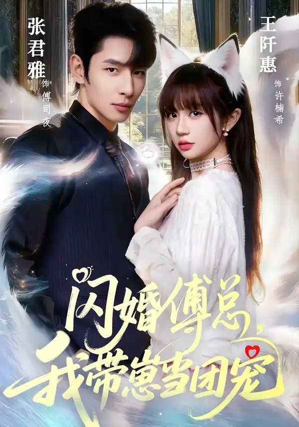 闪婚傅总，我带崽当团宠&闪婚傅总我带崽当团宠 - 短剧短剧海报图片