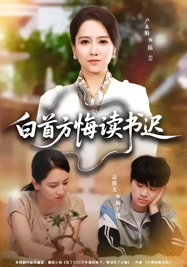 白首方悔读书迟 - 短剧短剧海报图片