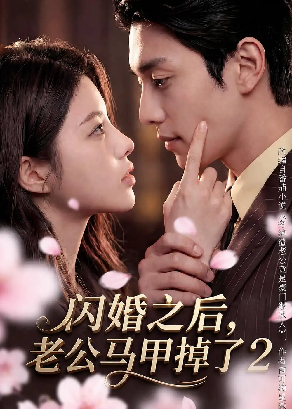 闪婚之后,老公马甲掉了2&闪婚之后老公马甲掉了2
