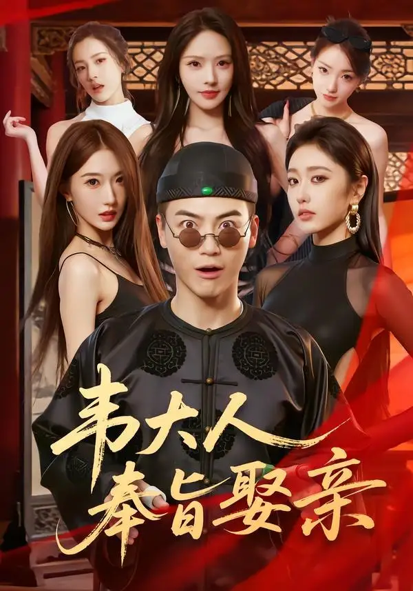 韦大人奉旨娶亲 - 短剧短剧海报图片