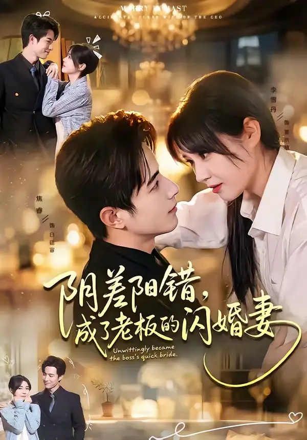 阴差阳错,成了老板的闪婚妻&阴差阳错成了老板的闪婚妻