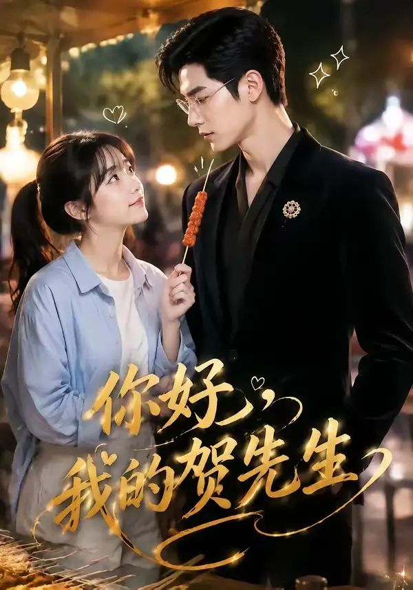 你好,我的贺先生&你好我的贺先生