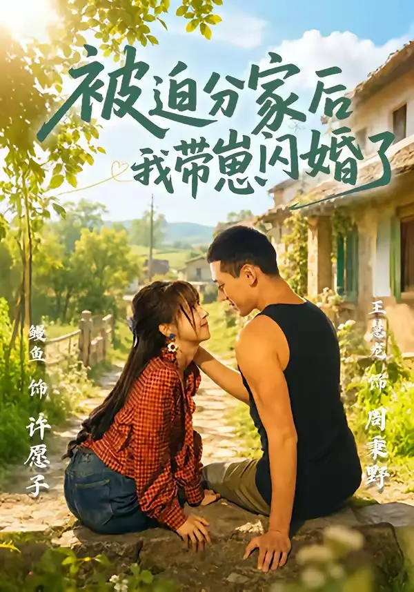被迫分家后我带崽闪婚了 - 短剧短剧海报图片