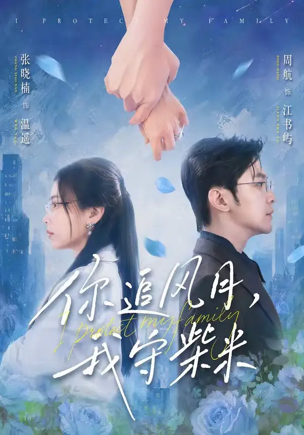 你追风月，我守柴米&你追风月我守柴米 - 短剧短剧海报图片