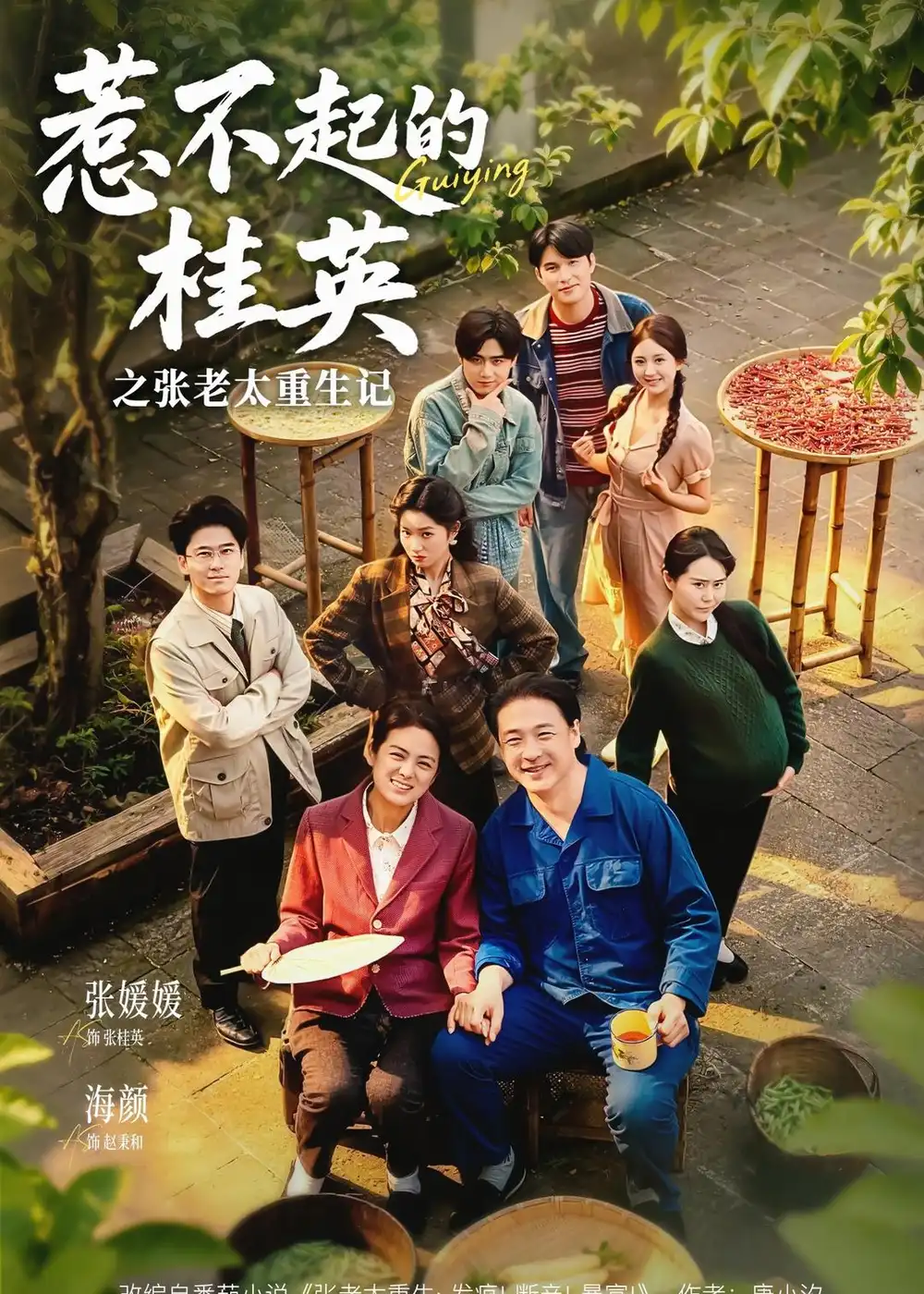 惹不起的桂英之张老太重生记 - 短剧短剧海报图片