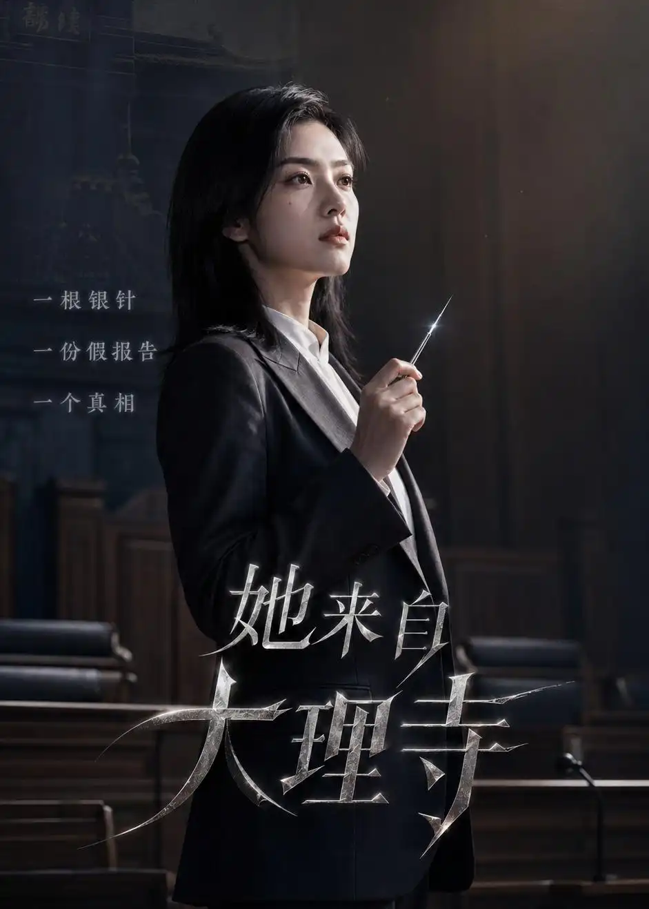 她来自大理寺