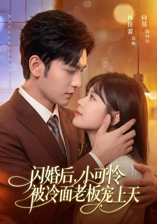 闪婚后，小可怜被冷面老板宠上天&闪婚后小可怜被冷面老板宠上天 - 短剧短剧海报图片