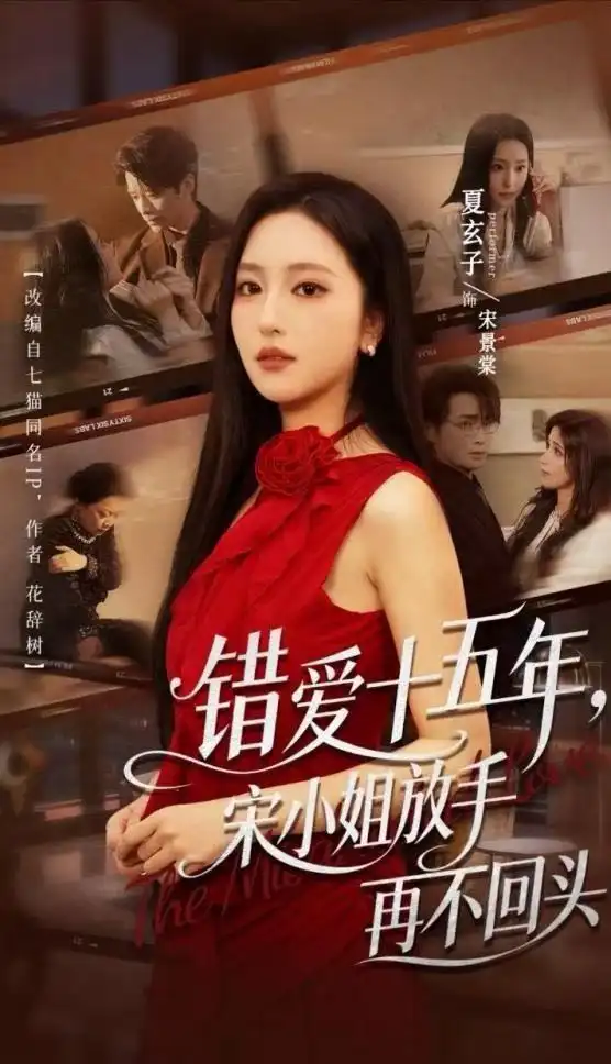 错爱十五年宋小姐放手再不回头 - 短剧短剧海报图片