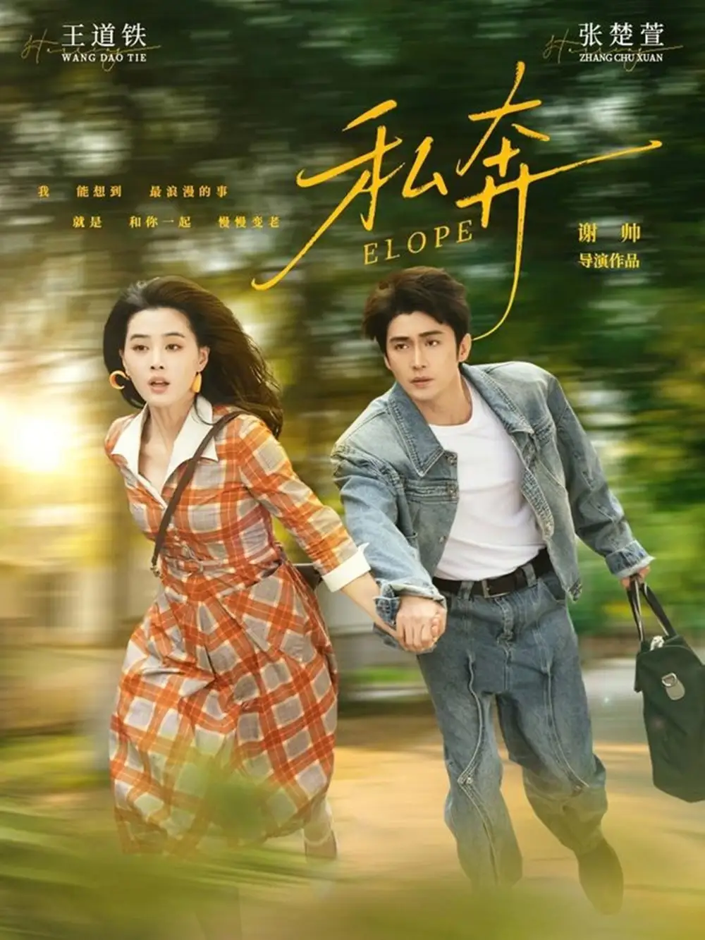 私奔 - 短剧短剧海报图片