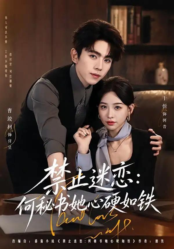 禁止迷恋：何秘书她心硬如铁&禁止迷恋何秘书她心硬如铁 - 短剧短剧海报图片
