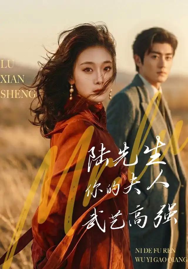 陆先生,你的夫人武艺高强&陆先生你的夫人武艺高强