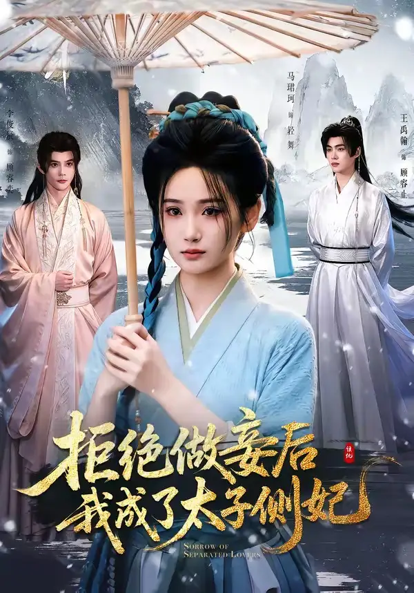 拒绝做妾后我成了太子侧妃一纸离人愁