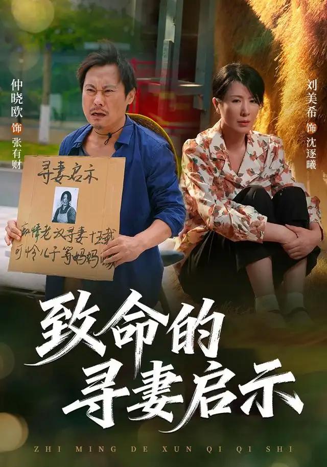 致命的寻妻启示 - 短剧短剧海报图片