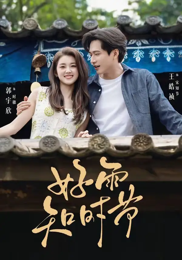好雨知时节 - 短剧短剧海报图片