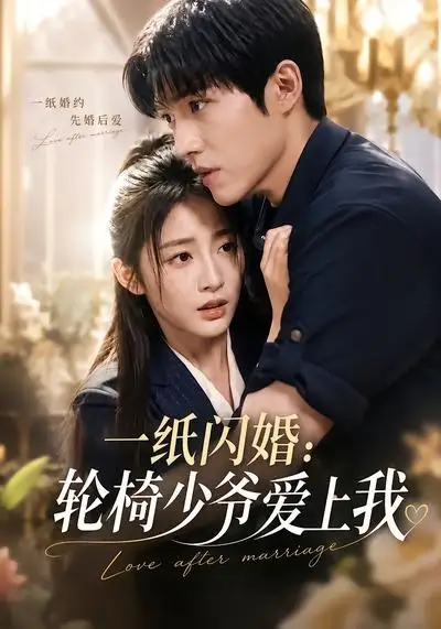 一纸闪婚:轮椅少爷爱上我&一纸闪婚轮椅少爷爱上我
