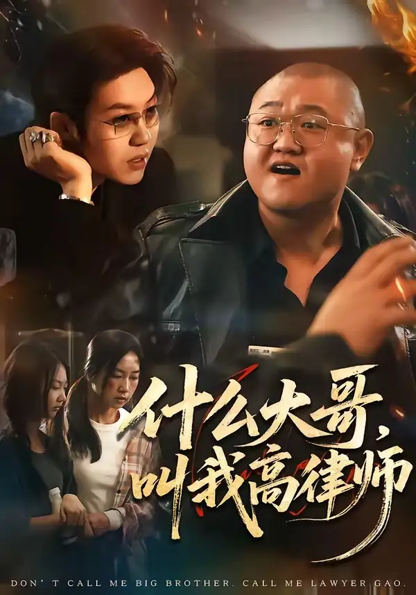 什么大哥,叫我高律师