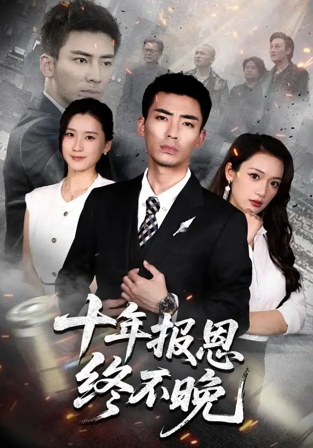 十年报恩终不晚 - 短剧短剧海报图片