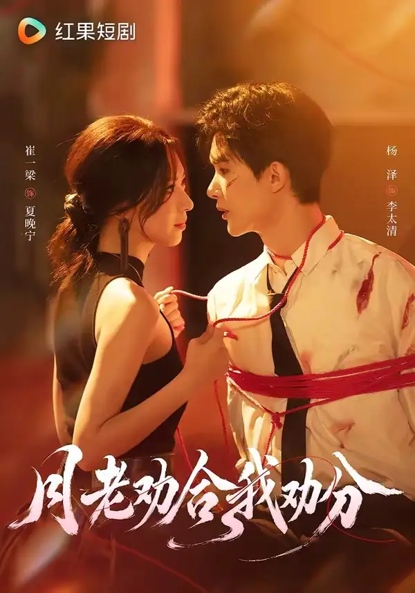 月老劝合我劝分 - 短剧短剧海报图片