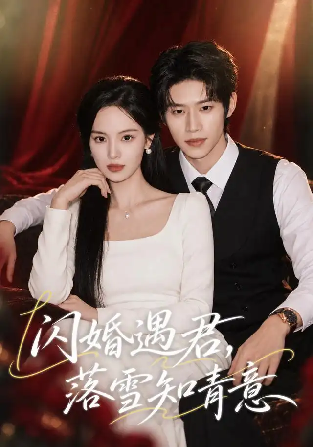 闪婚遇君,落雪知青意
