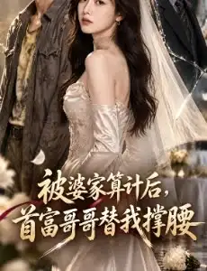 被婆家算计后，首富哥哥替我撑腰5