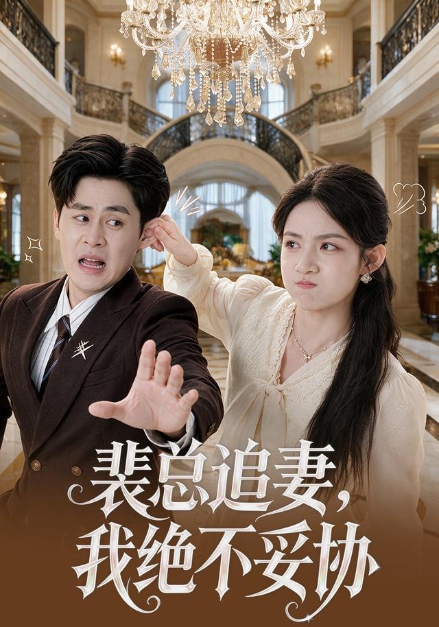 裴总追妻,我绝不妥协