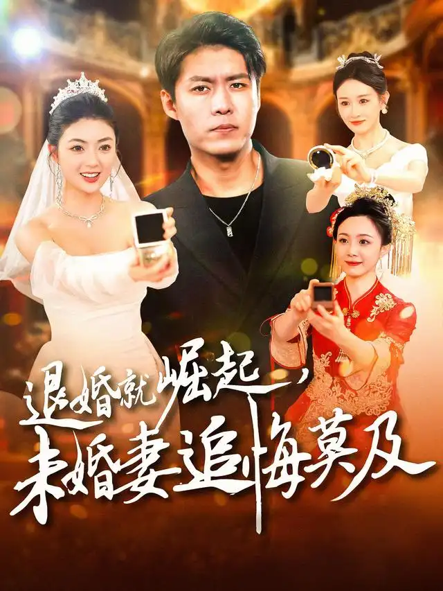 退婚就崛起，未婚妻追悔莫及 - 短剧短剧海报图片