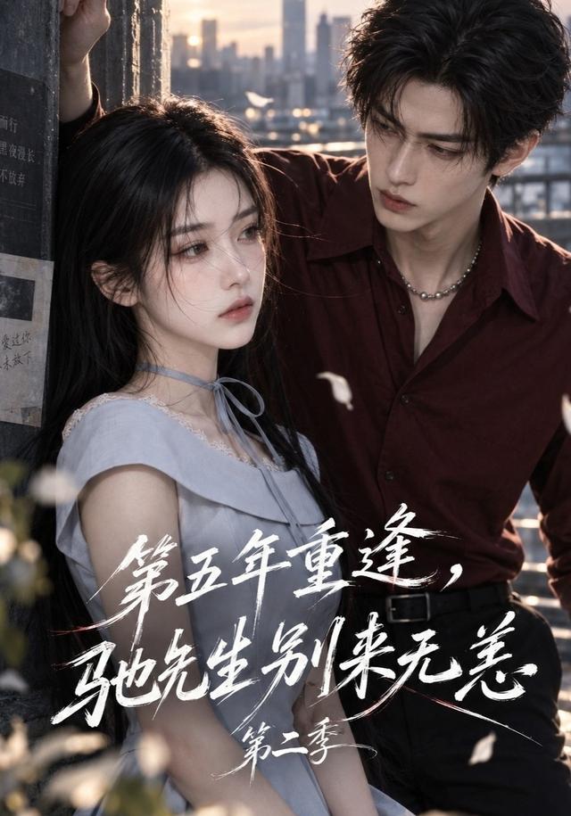 第五年重逢,驰先生别来无恙第二季