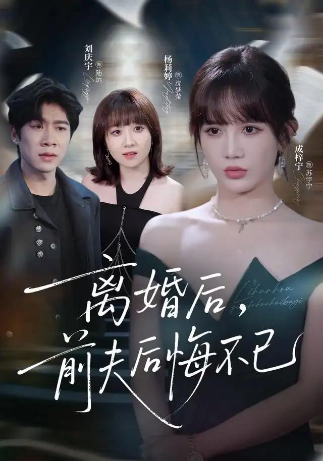 离婚后前夫后悔不已 - 短剧短剧海报图片