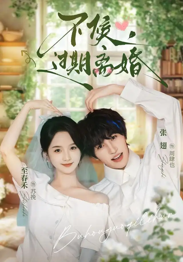 不候，过期离婚 - 短剧短剧海报图片