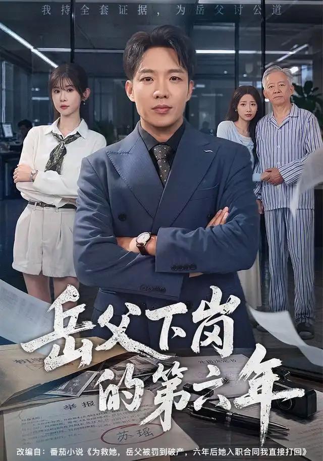 岳父下岗的第六年 - 短剧短剧海报图片