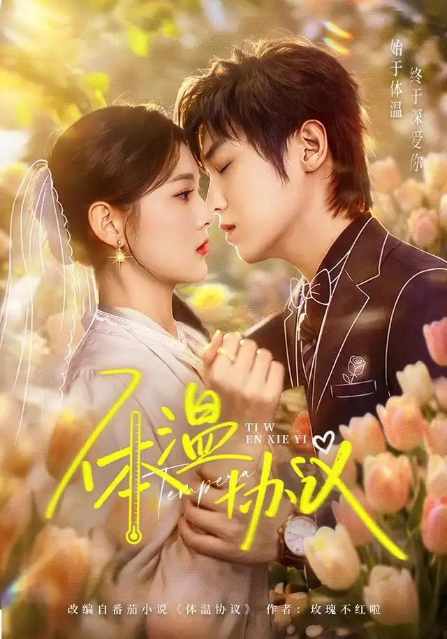 但愿婚长久 - 短剧短剧海报图片
