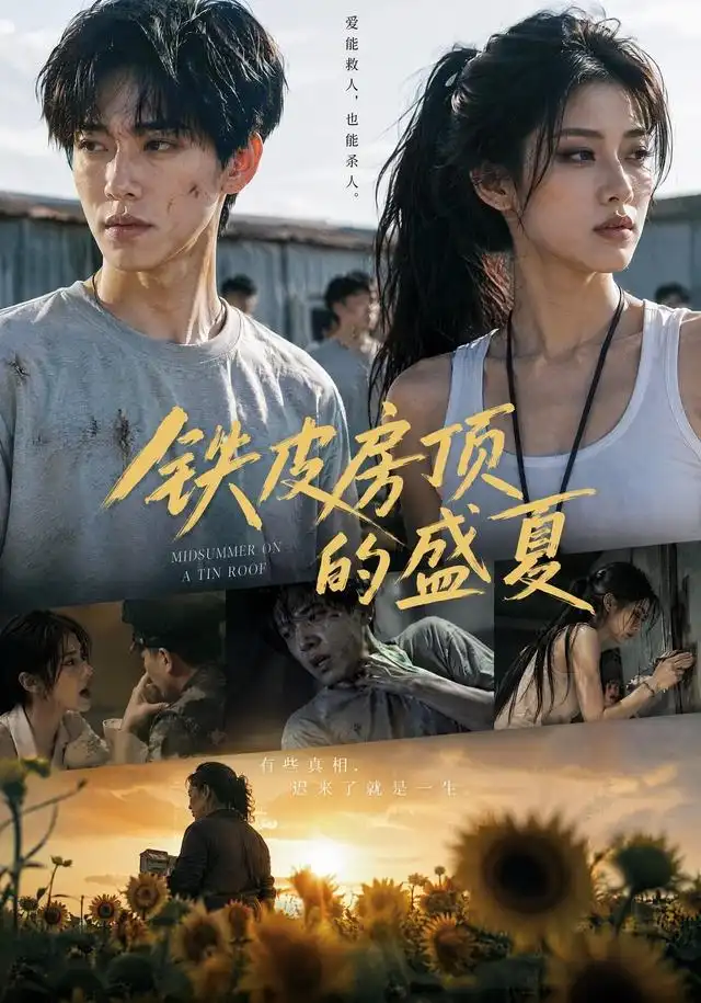 铁皮房顶的盛夏