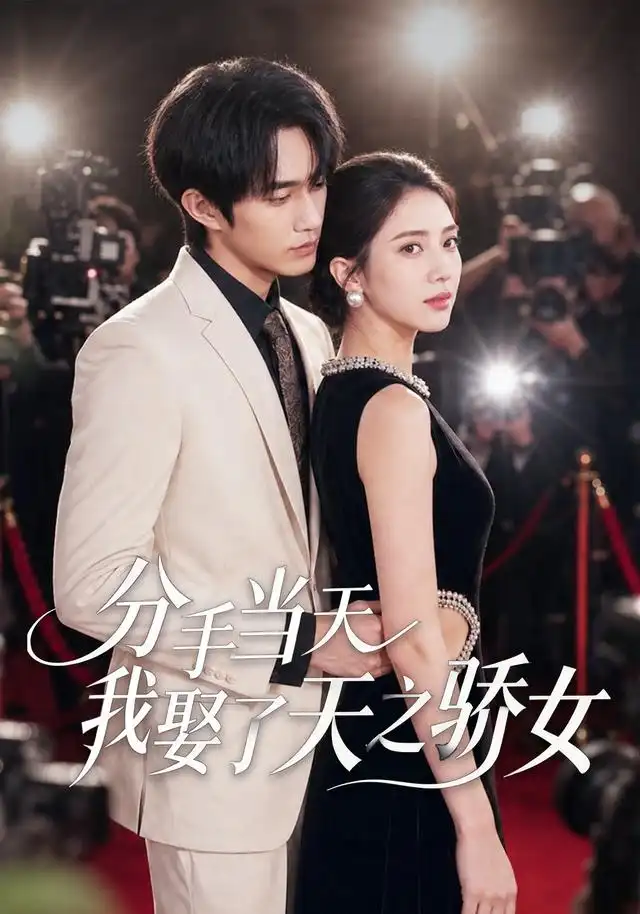 分手当天我娶了天之骄女 - 短剧短剧海报图片