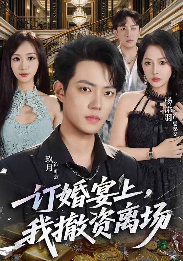 订婚宴上,我撤资离场
