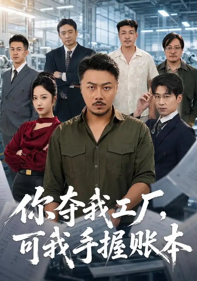 你夺我工厂,可我手握账本