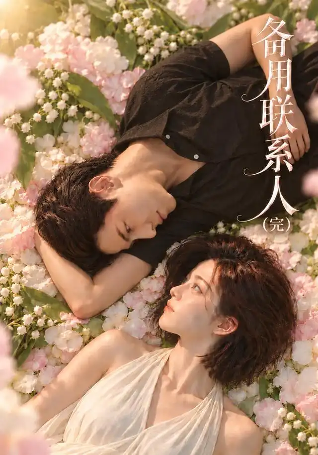 备用联系人（完）