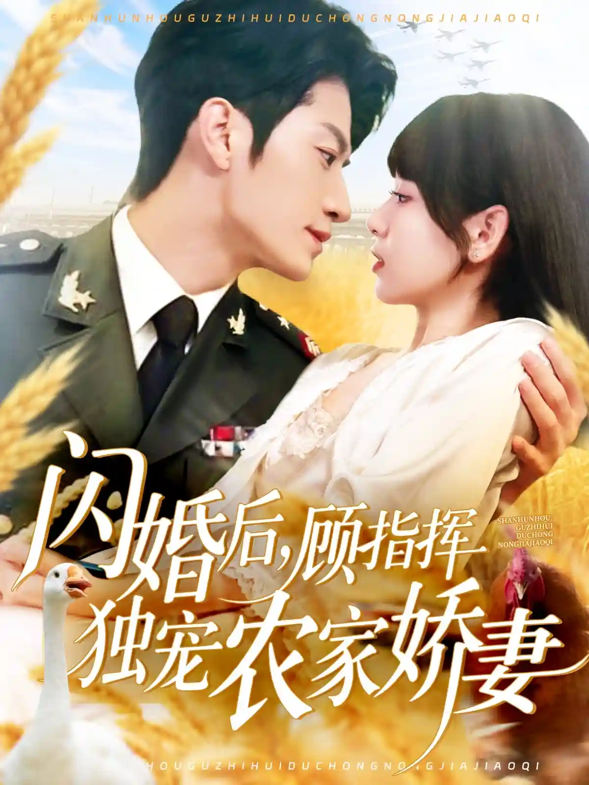 闪婚后顾指挥独宠农家娇妻剧照