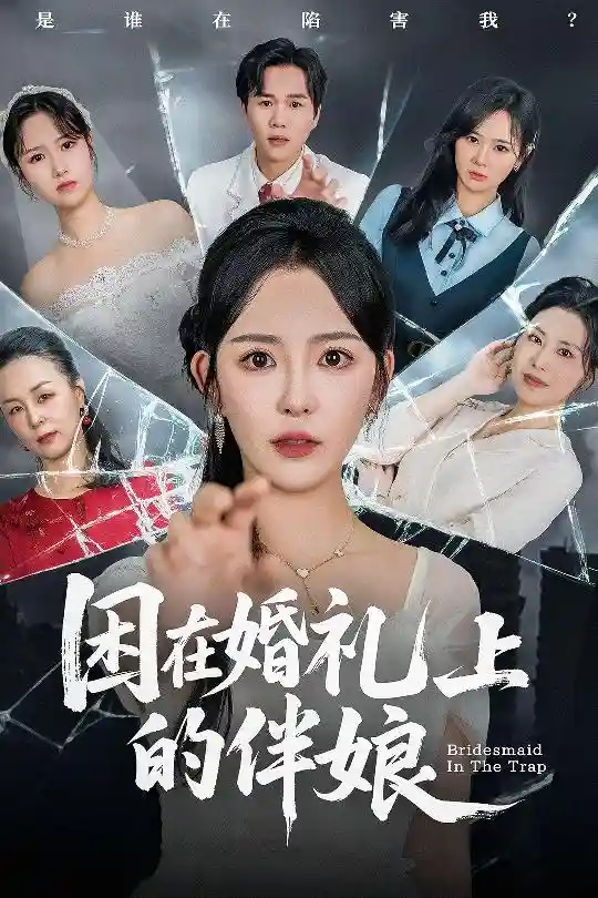 困在婚礼上的伴娘剧照