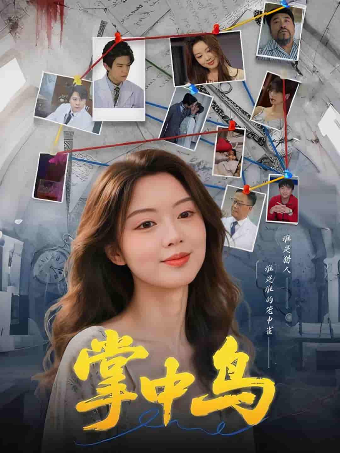 图片描述