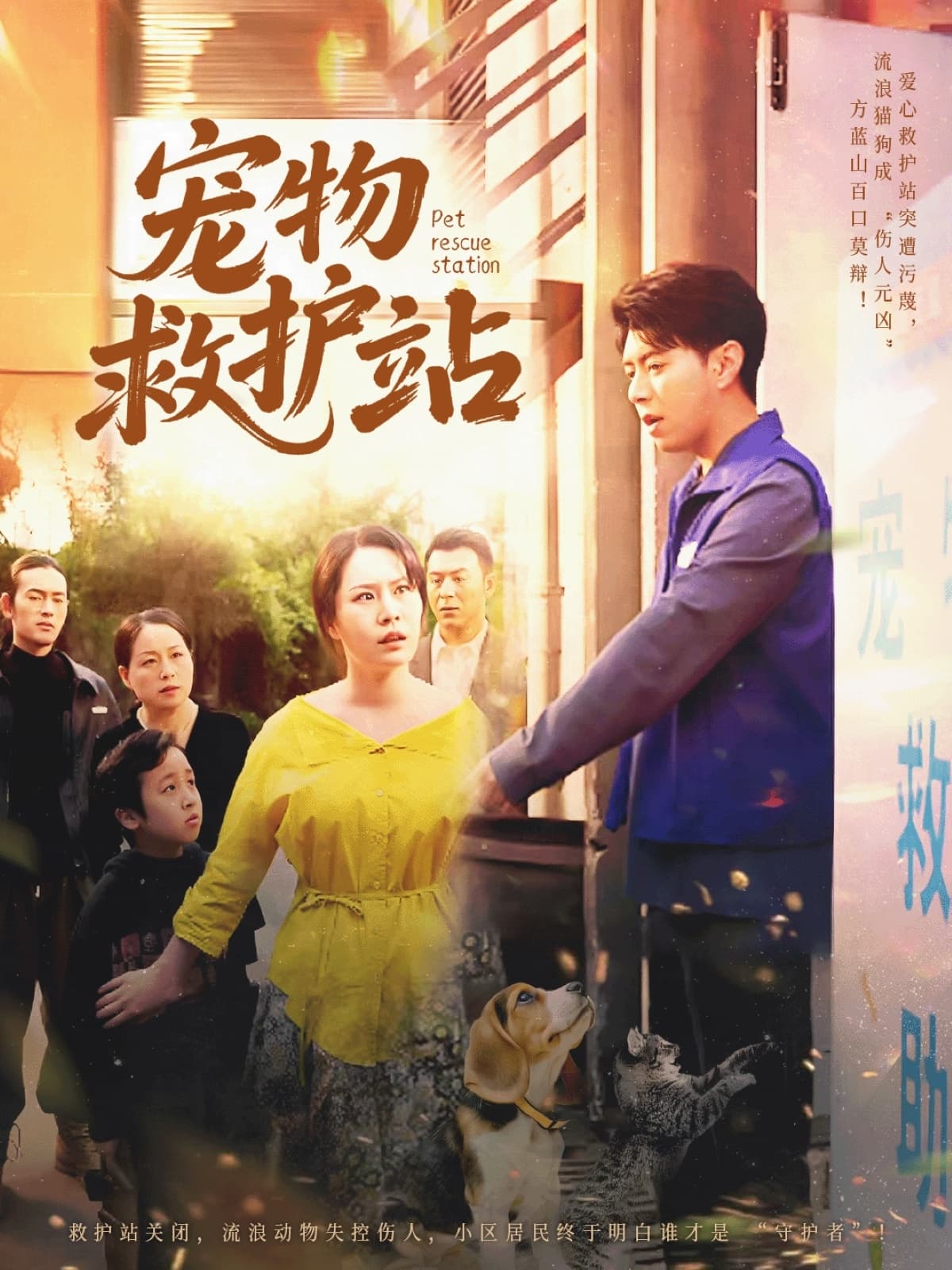 图片描述