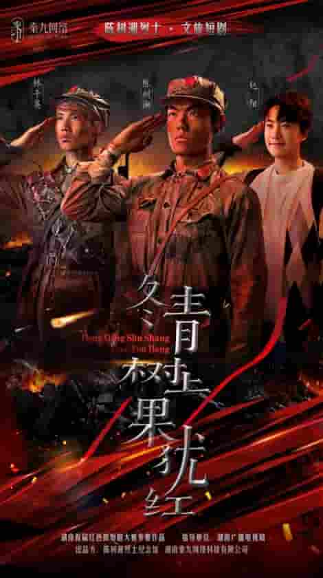 图片描述