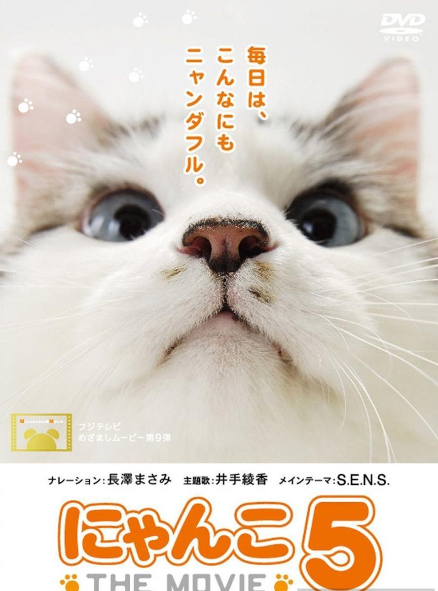 猫咪物语.2006-2012.5部合集.日语中字.HD1080P