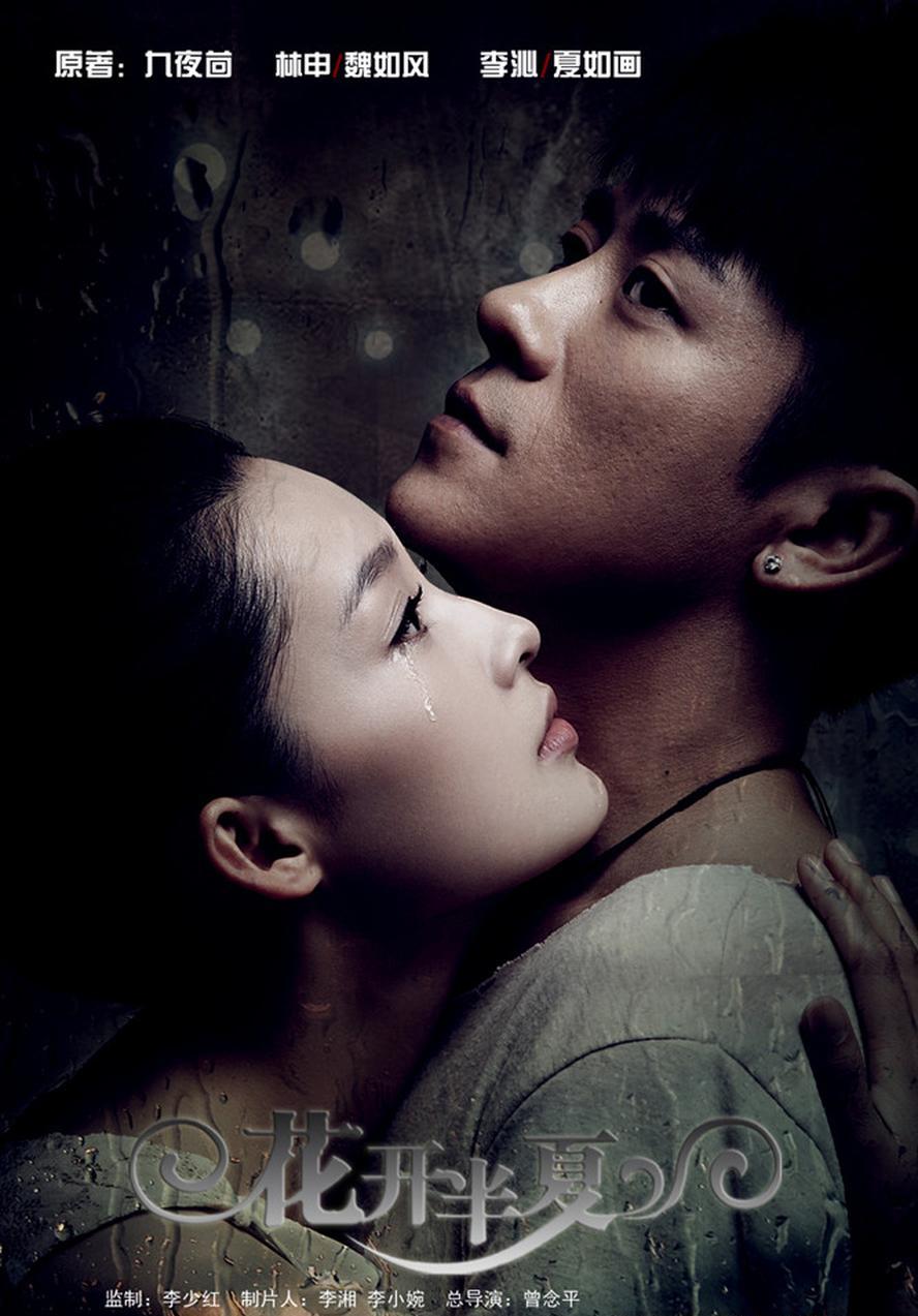 花开半夏.2013.全30集.1080p.国语中字 - 未命名短剧海报图片