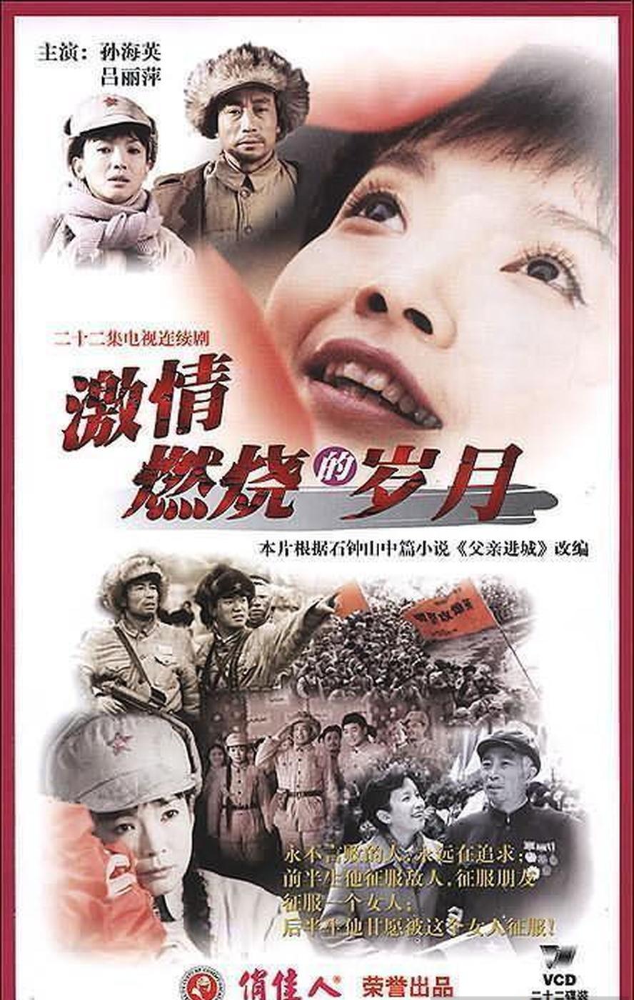 激情燃烧的岁月.2001.1080p