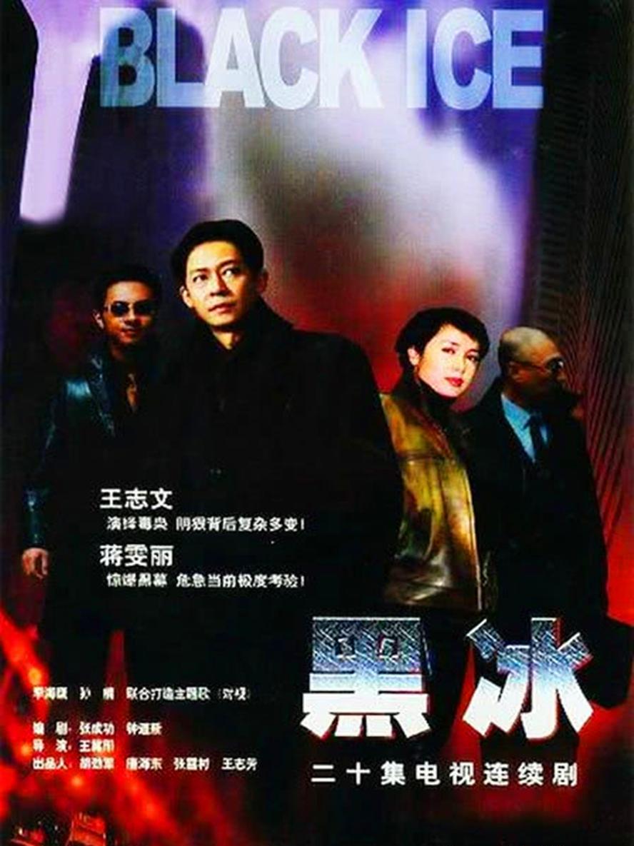 黑冰.2001.全20集.1080p.国语中字【王志文/蒋雯丽】