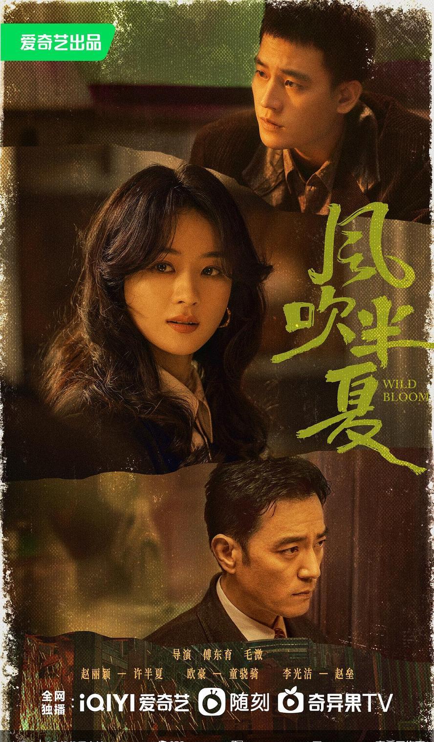 风吹半夏.2022.全36集.1080p.国语中字【赵丽颖/欧豪/李光洁】 - 未命名短剧海报图片