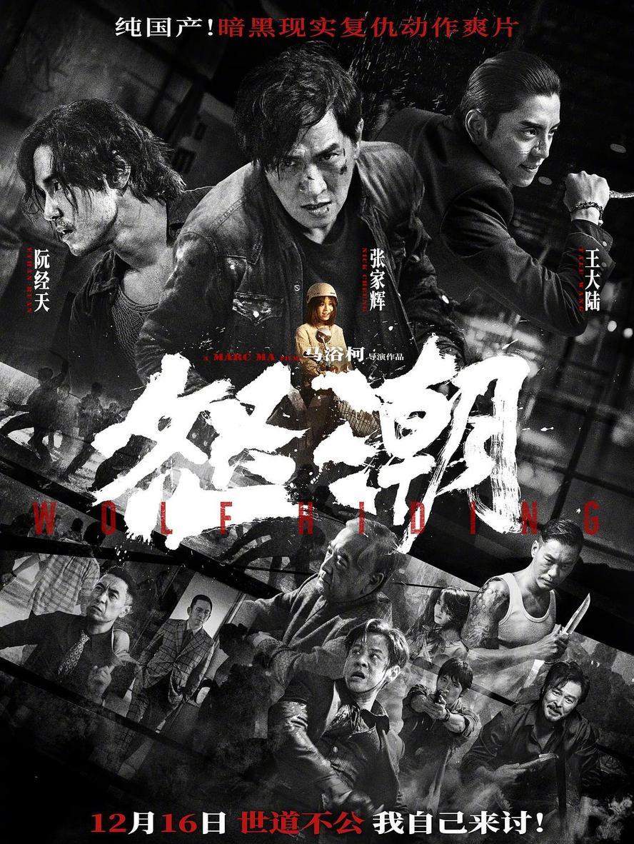 怒潮.2023.1080p.国语中字【张家辉/阮经天/秦沛】