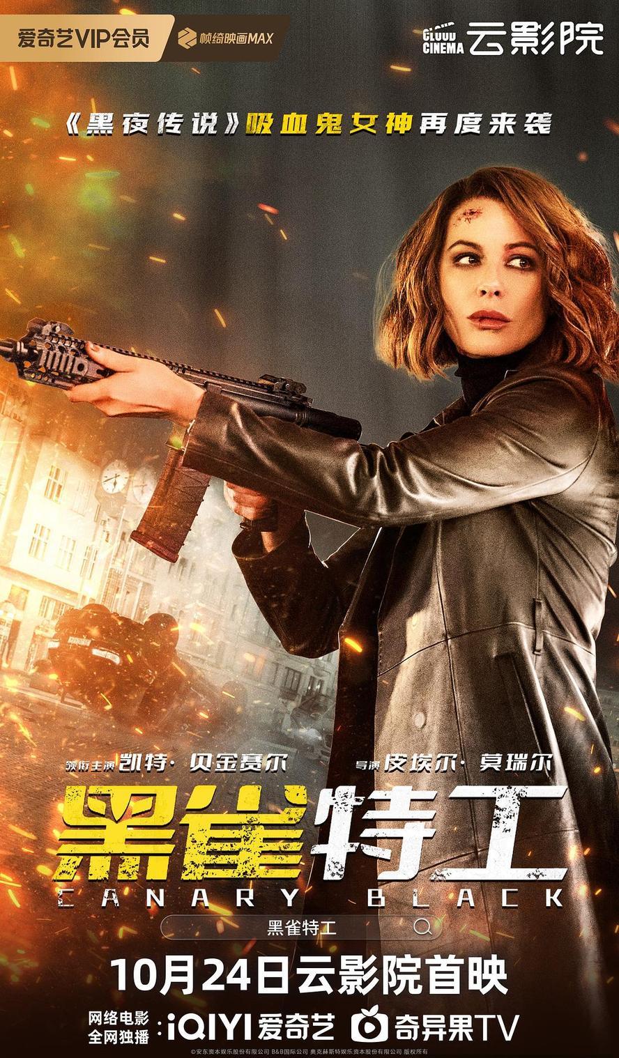 黑雀特工(2024).HD1080P.4K.英语.中英双字 - 未命名短剧海报图片
