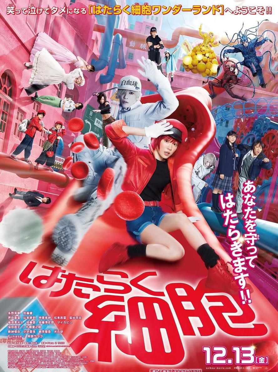 工作细胞真人版.2024.1080p.日语中字
